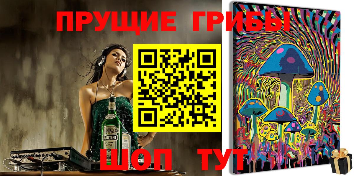 Псилоцибиновые грибы GOLDEN TEACHER  Галлюциногенные грибы Cubensis  Шадринск  Вход с VPN 